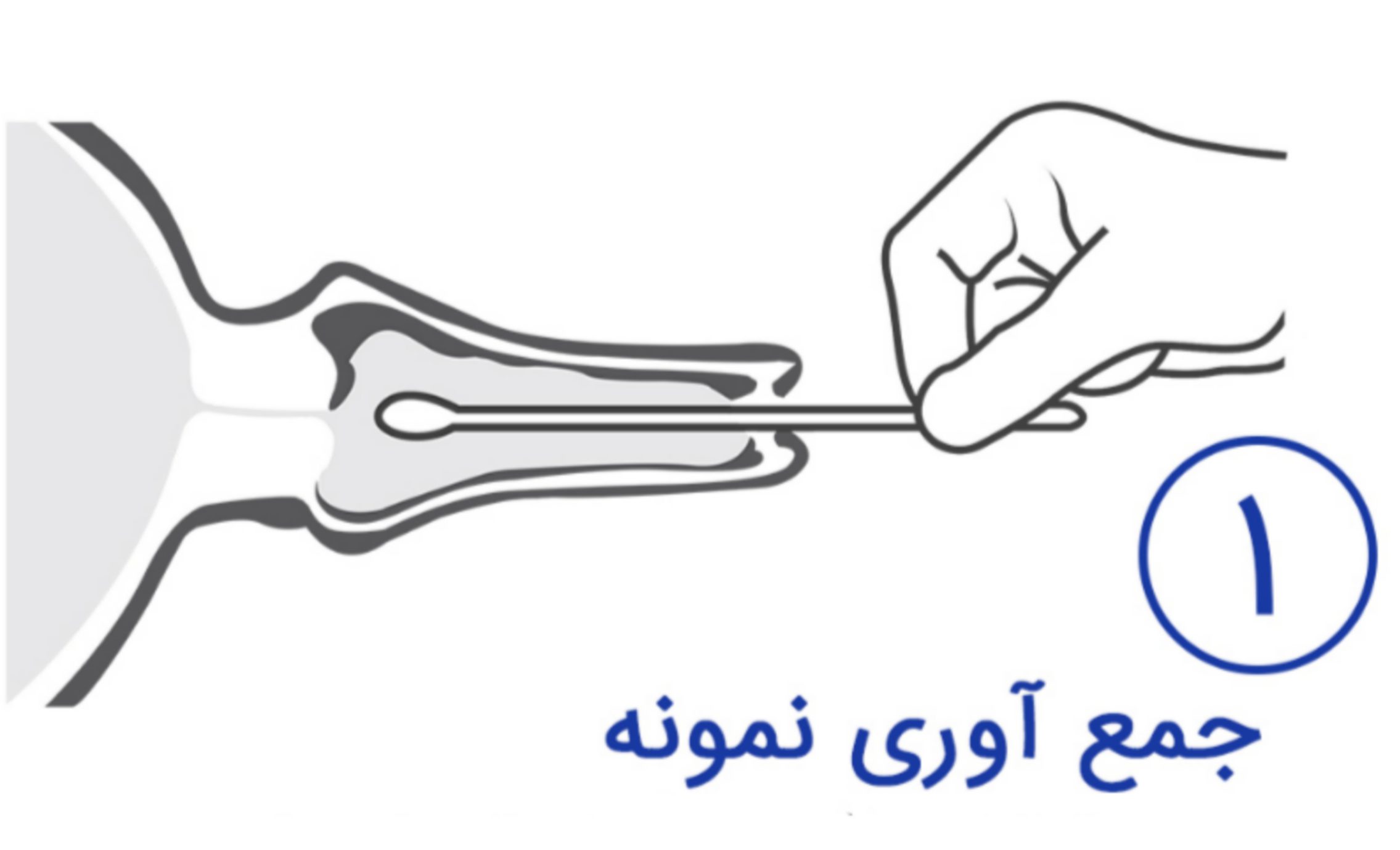 جمع آوری نمونه