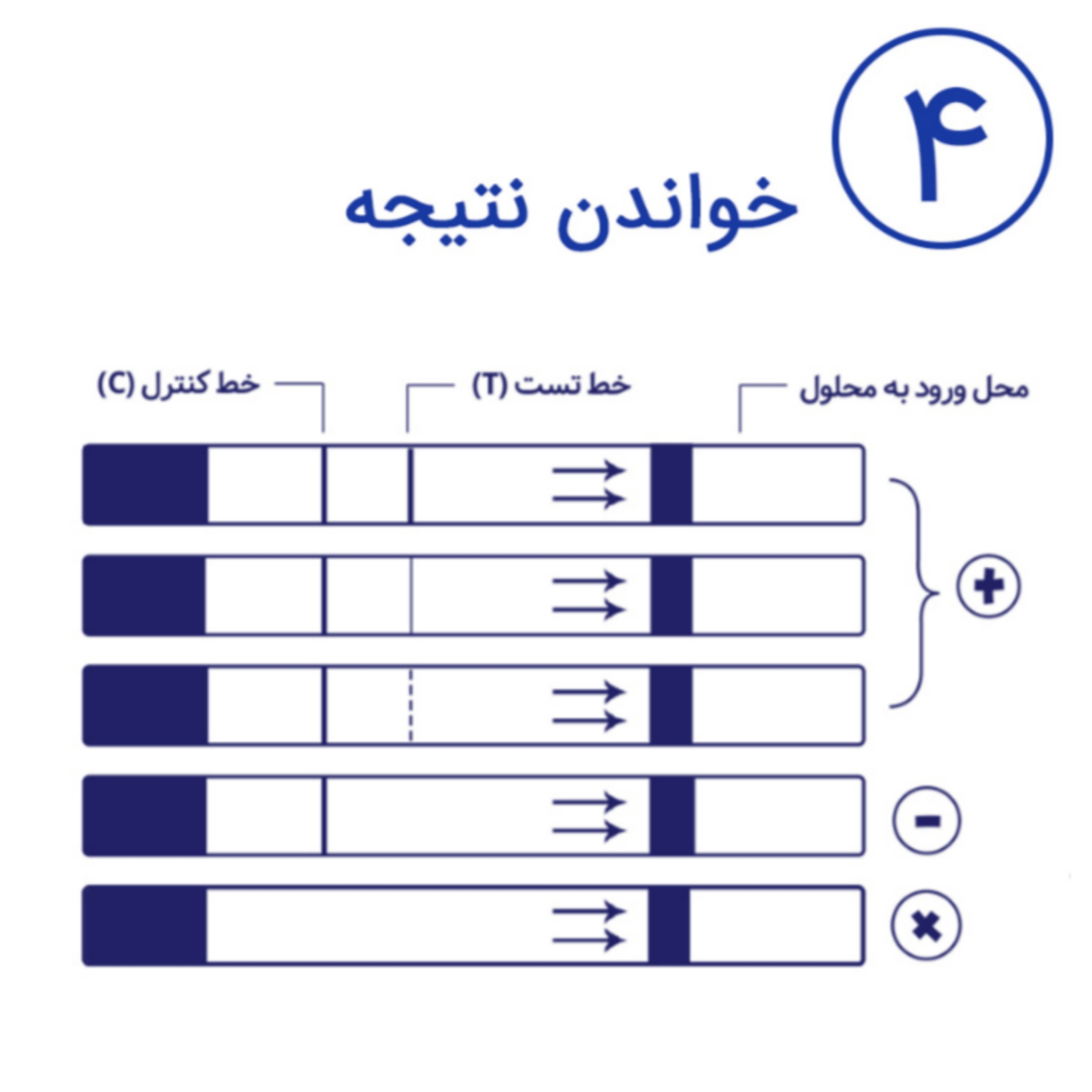 خواندن نتیجه آمنی تست